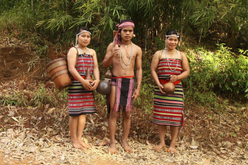 Ratanakiri Full-Day Tour