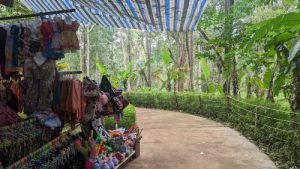 One Day Tour in Mondulkiri