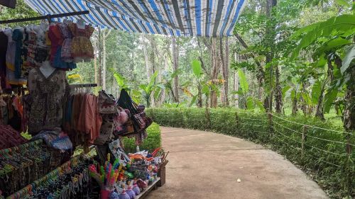 One Day Tour in Mondulkiri