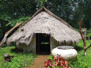 One Day Tour in Mondulkiri