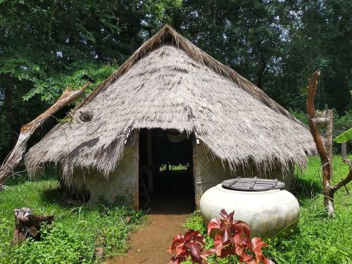 One Day Tour in Mondulkiri