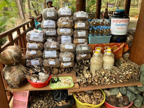 One Day Tour in Mondulkiri