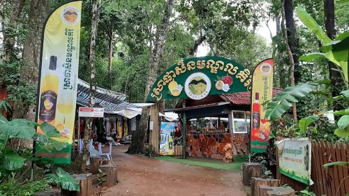 One Day Tour in Mondulkiri