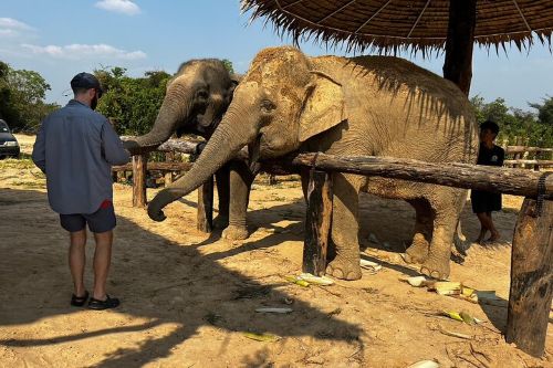 Kulen Waterfall & Elephant Conservation Project