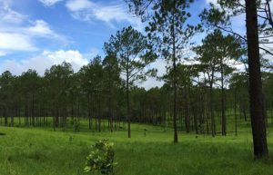 One-Day Kampong Speu Nature & Adventure Tour