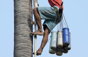 One-Day Kampong Speu Nature & Adventure Tour