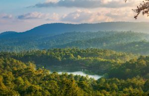 Scenic pine forest and lake view at Kirirom National Park, Kampong Speu, on a private day tour with Phnom Penh Taxi Driver.