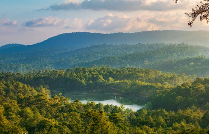 Scenic pine forest and lake view at Kirirom National Park, Kampong Speu, on a private day tour with Phnom Penh Taxi Driver.