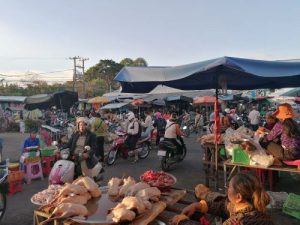 Kampongthom Temple & Hill Tour