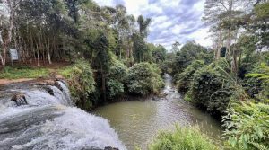 Ratanakiri Full-Day Tour