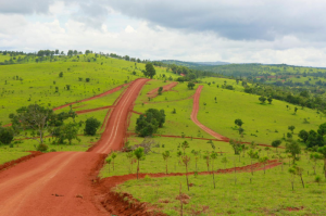Scenic view of rolling green hills and a red dirt road in the Mondulkiri highlands of Cambodia
