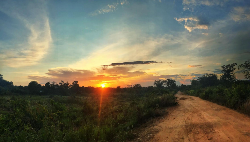 A vibrant sunset over a rural dirt road through the lush jungle of Mondulkiri, Cambodia.