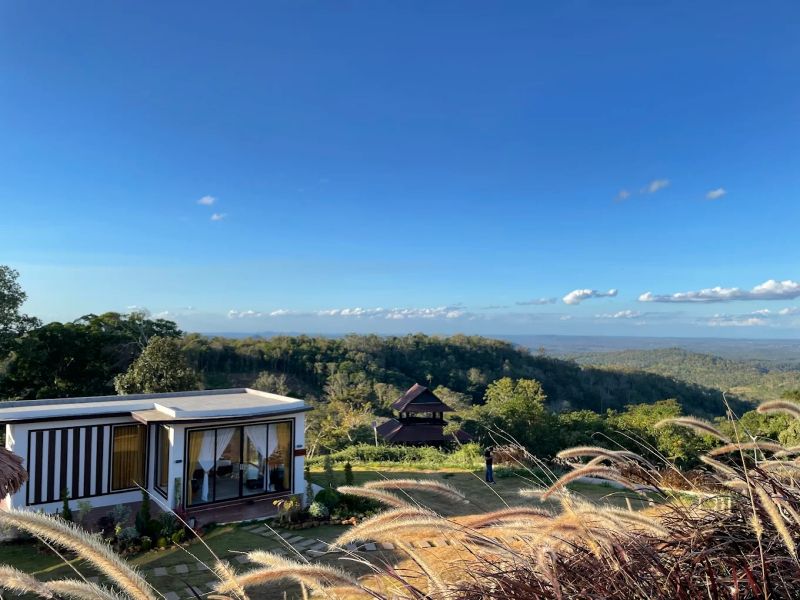 Sea forest attractions in Cambodia