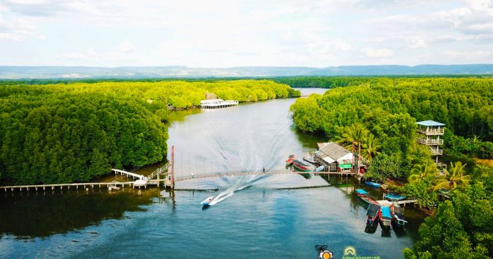 Aerial view of Peam Krasaop Wildlife Sanctuary mangroves in Koh Kong, Cambodia, perfect for a private taxi day tour from Phnom Penh.