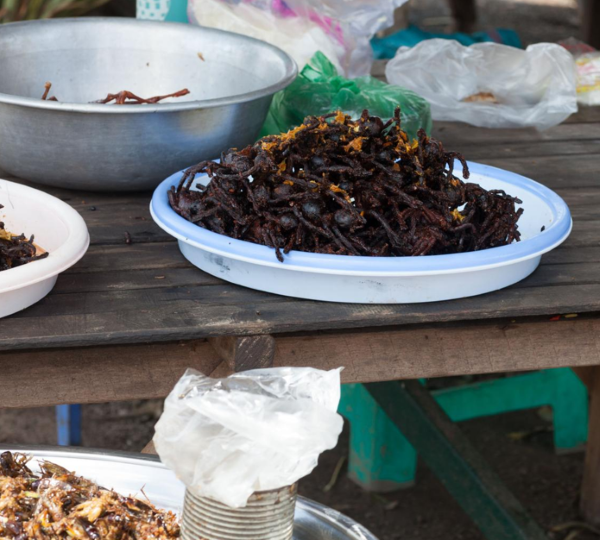 Cambodia 5-Day Tour Overview