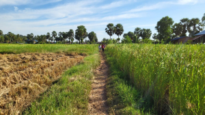 Cambodia 5-Day Tour Overview