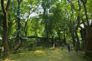 The forested grounds of Phnom Tamao Wildlife Rescue Center near Phnom Penh; book a private family taxi with Phnom Penh Taxi Drive.