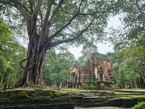 Ancient brick temples of Prasat Sambor Prei Kuk in Kampong Thom, reachable by private car with Phnom Penh Taxi Drive.