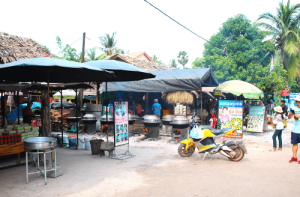 Phnom Bok and Preh Dak Community