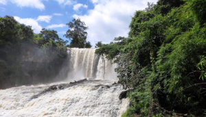 6-Day Cambodia Tour Overview