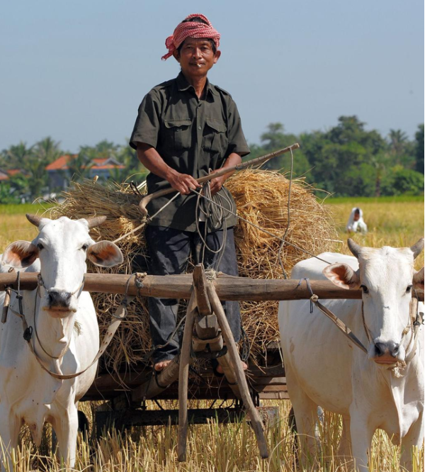 7-Day Cambodia Tour Overview