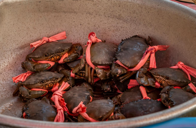 KH 5-Day Tour Overview