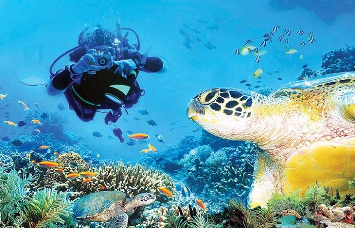 Beach Diving and snorkeling attractions in Cambodia
