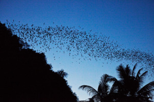 KH 5-Day Tour Overview