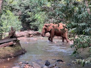 One Day Tour in Mondulkiri