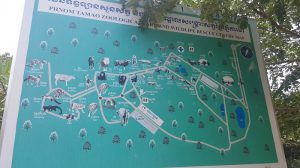 Phnom Tamao Wildlife Rescue Center & Ta Prohm Tonle Bati Tour