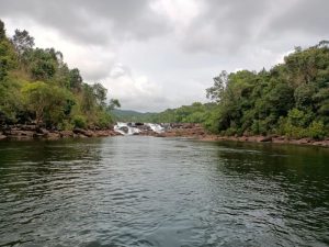 One-Day Koh Kong Nature & Mangrove Adventure Tour