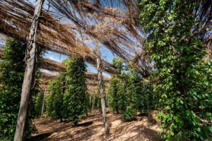 KH 5-Day Tour Overview