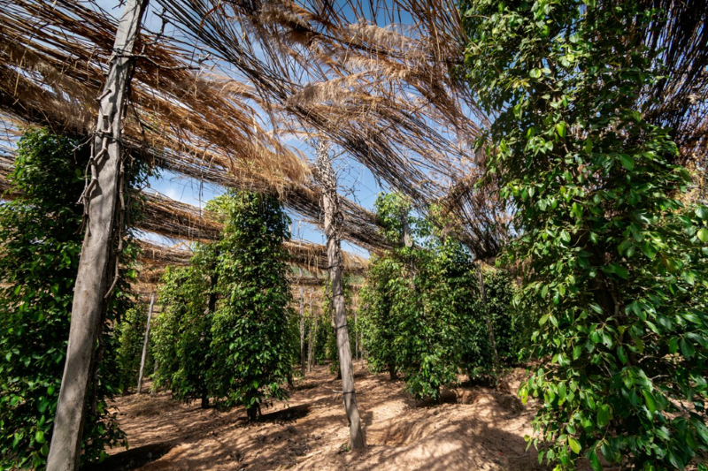 KH 5-Day Tour Overview