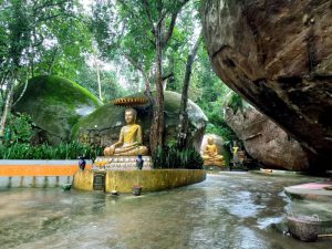 Kulen Waterfall & Elephant Conservation Project