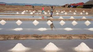 Traditional white salt mounds at the Kampot salt farms with workers in the background Cambodia
